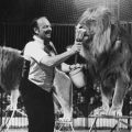 Staatszirkus der DDR, Hanno Coldam mit Löwen-Tiger-Dressur - 1982