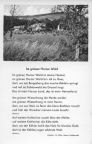 Titel "Im grünen Harzer Wald" von Dr. Wille - 1957