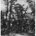 Aussichtsturm auf dem Wachberg - 1954