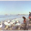 Winter am Strand - 1980