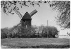 Alte Mühle in Werder (Havel) - 1961