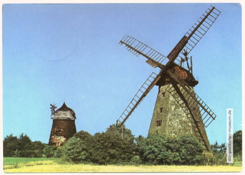 Holländermühlen auf dem Mühlenberg - 1976