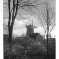 Mühle an der Prenzlauer Chaussee - 1960