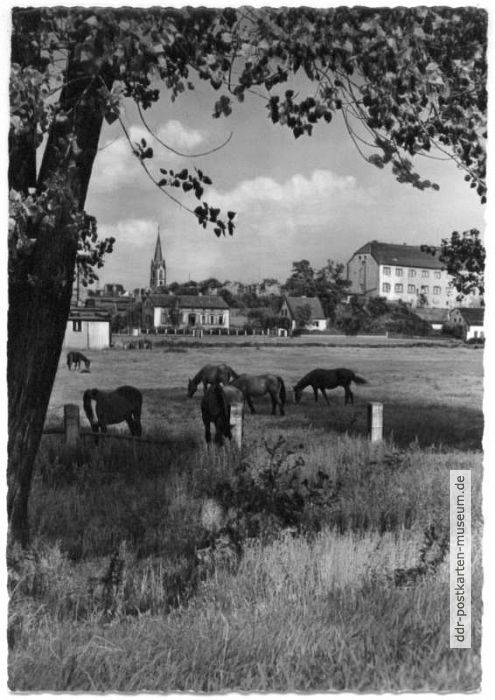 Blick nach Wolmirstedt - 1961