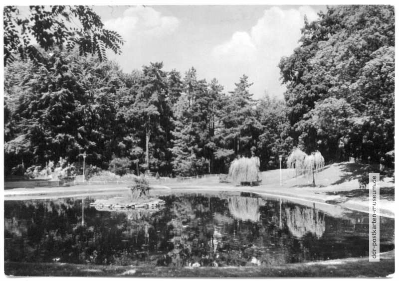 Parkteich im Stadtpark - 1977